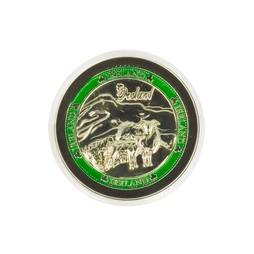 Irish Memories Shamrock Token