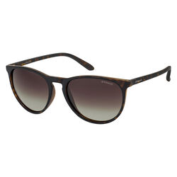 Polaroid PLD 6003/N/S V0854La Havana Panthos Sunglasses