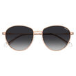 Polaroid PLD 4171/G/S/X Gold Copper Panthos Sunglasses