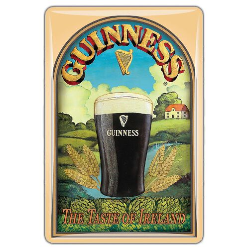 Guinness Taste of Ireland Magnet
