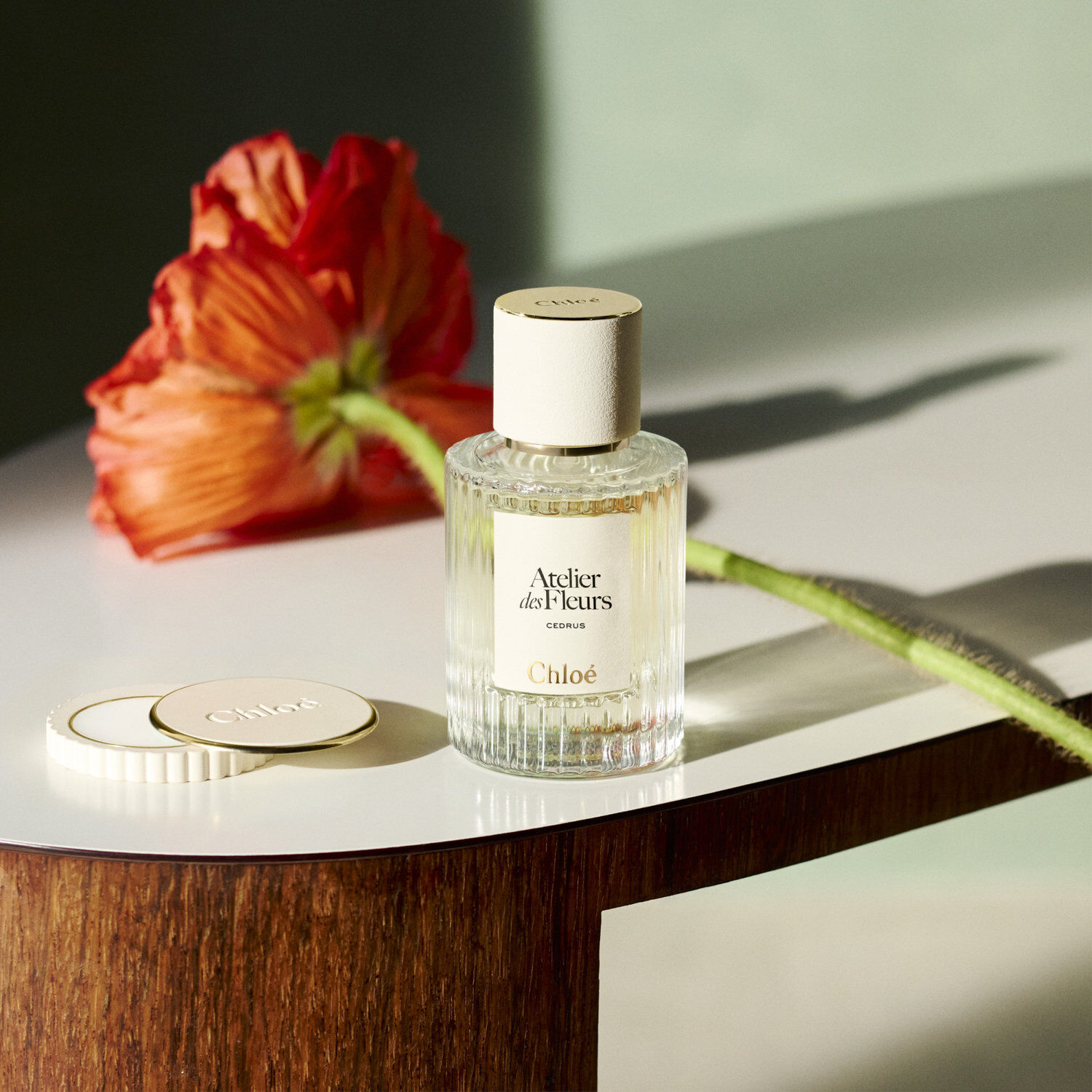Atelier des Fleurs Cedrus Eau de Parfum 150ml | Airport Duty Free