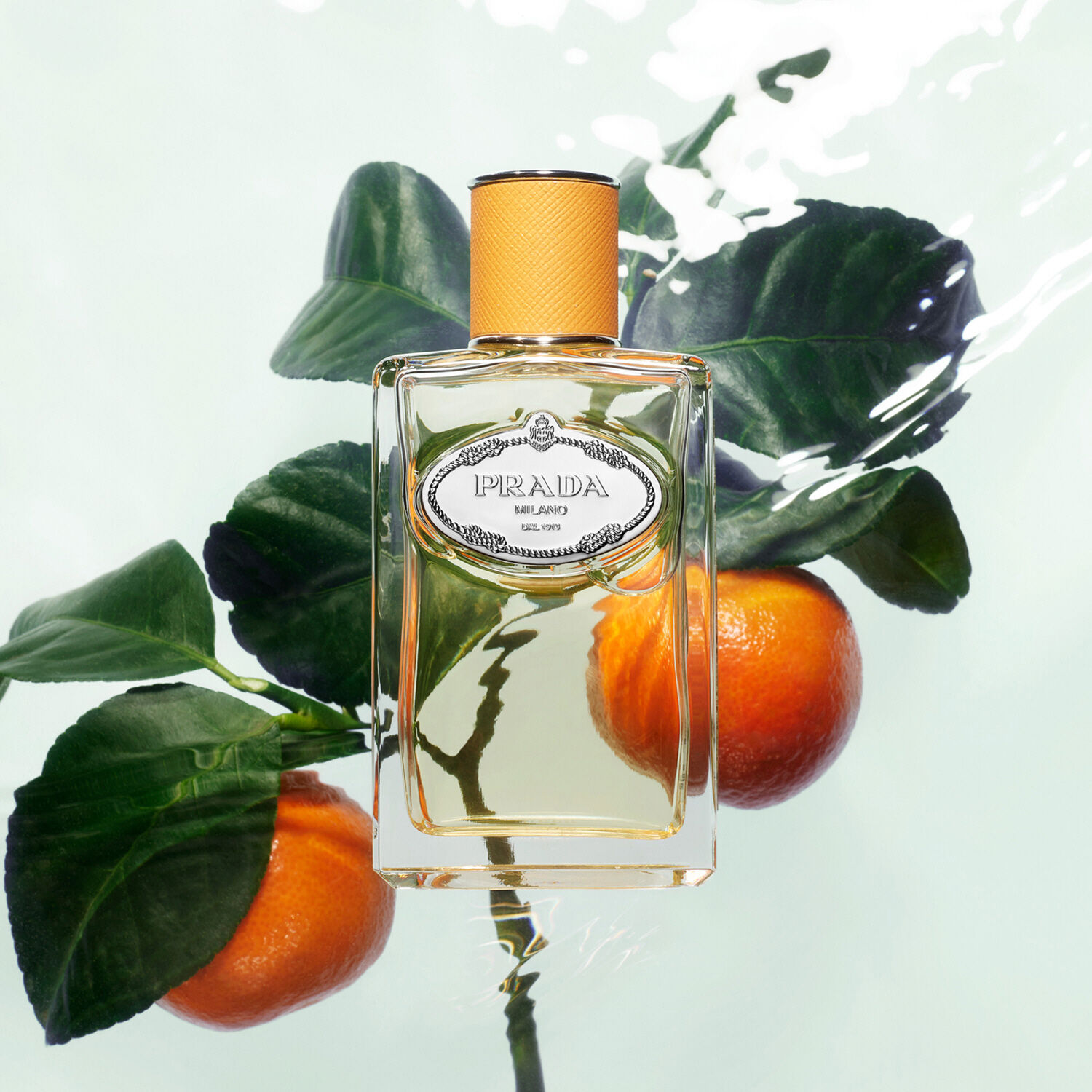 Prada infusion de mandarine 100ml online