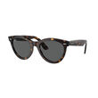 Ray-Ban 0RB2241 WAYFARER WAY