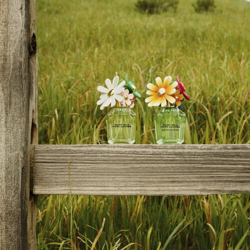 Marc  Jacobs Daisy Wild Eau de Parfum Intense 50ml