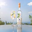 Grey Goose Grey Goose Essence White Peach Rosemary Vodka 1L