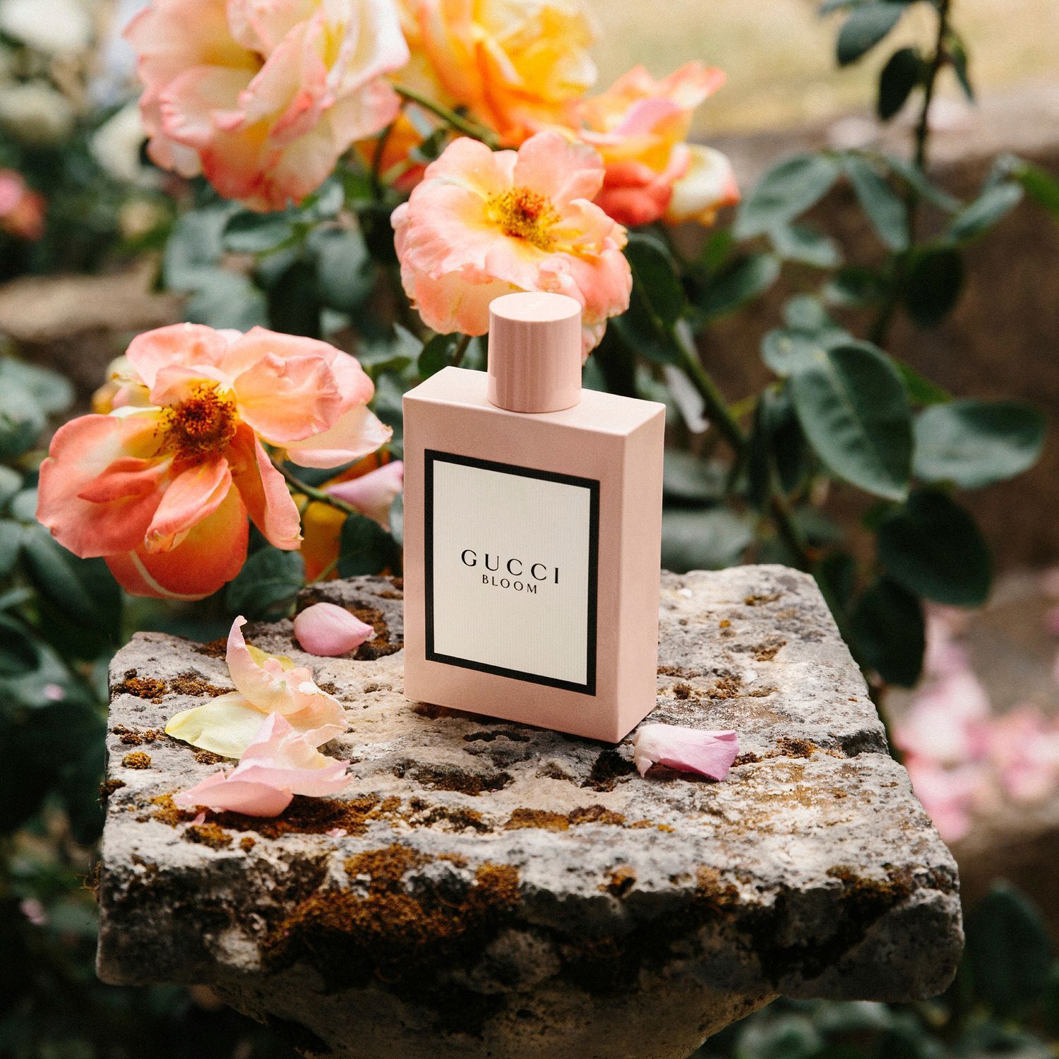 Duty free gucci bloom shop