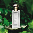 Bvlgari Eau Parfumée Thé Blanc Eau de Toilette 75ml