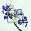 Prada Infusion de Iris Eau de Parfum 100ml