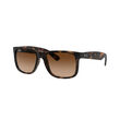 Ray-Ban 0RB4165 JUSTIN