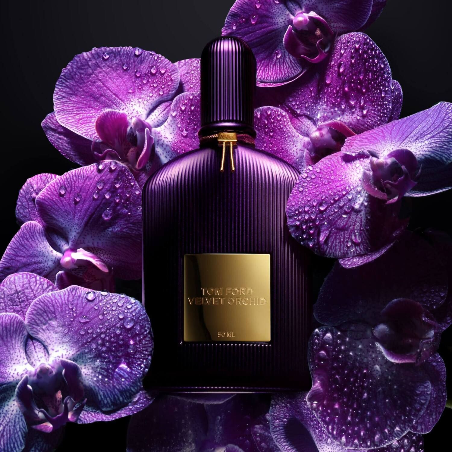 その他 Tom Ford Velvet Orchid 100ml Velvet Orchid Eau de Parfum 100ml | Airport Duty Free Shopping