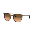Ray-Ban 0RB2204