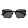 Polaroid PLD 4163/S Havana Rectangular Sunglasses