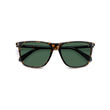 Polaroid PLD 6232/S Havana Rectangular Sunglasses