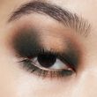 MAC Connect In Colour Eye Shadow Palette Bronze Influence