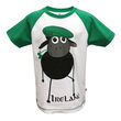 Traditional Craft Kids White/Emerald Green Sheep Ireland Raglan Kids T-Shirt 1-2 Years