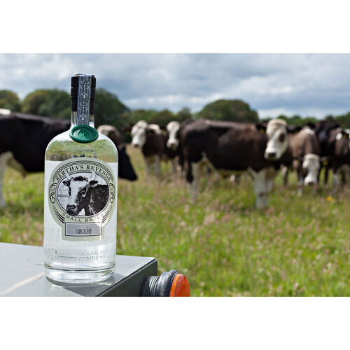 Bertha's Revenge Bertha's Revenge Irish Milk Gin 70cl