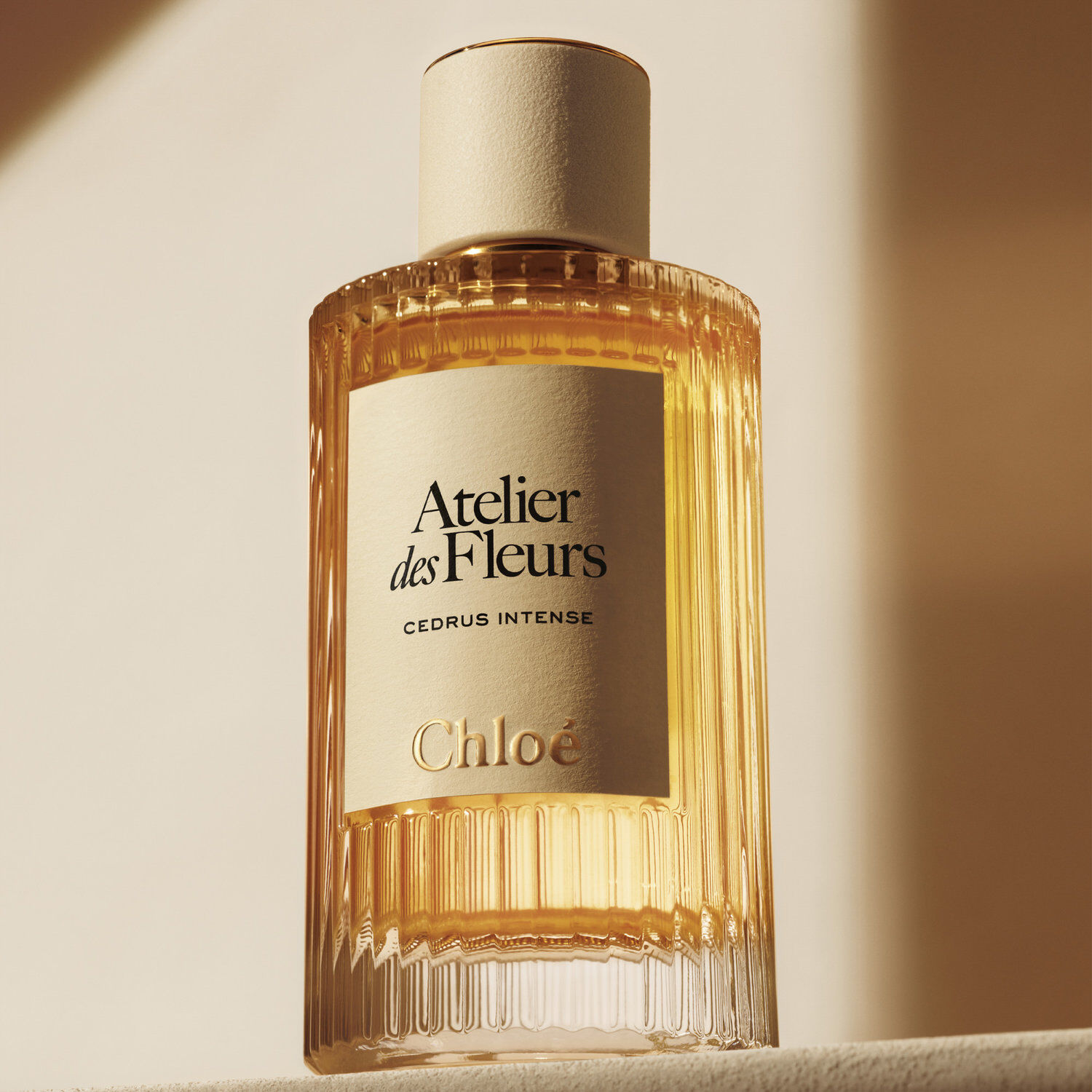 Atelier des Fleurs Cedrus Eau de Parfum 150ml | Airport Duty Free