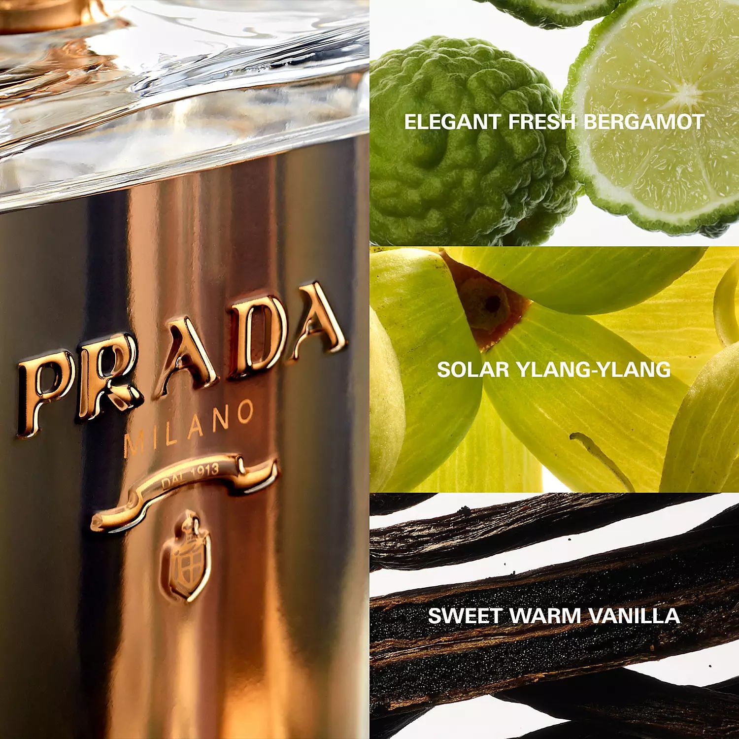 La femme prada 50ml new arrivals