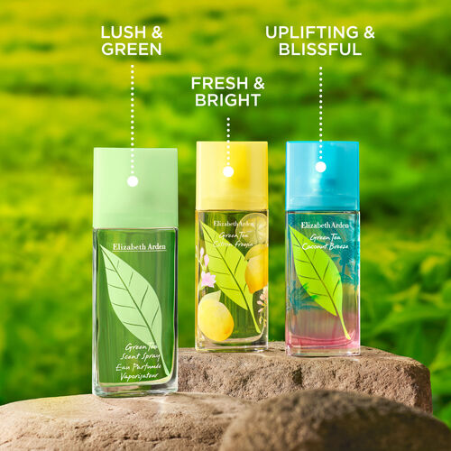 Elizabeth Arden Green Tea Scent 100ml