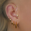 Loinnir Jewellery Torc Sterling Silver Hoop Earrings 18ct Gold