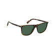Polaroid PLD 6232/S Havana Rectangular Sunglasses