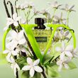 Valentino Born in Roma Donna Green Stravaganza Eau de Parfum 50ml