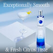 Ciroc Vodka 1L