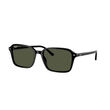 Ray-Ban 0RB2231 RAIMOND