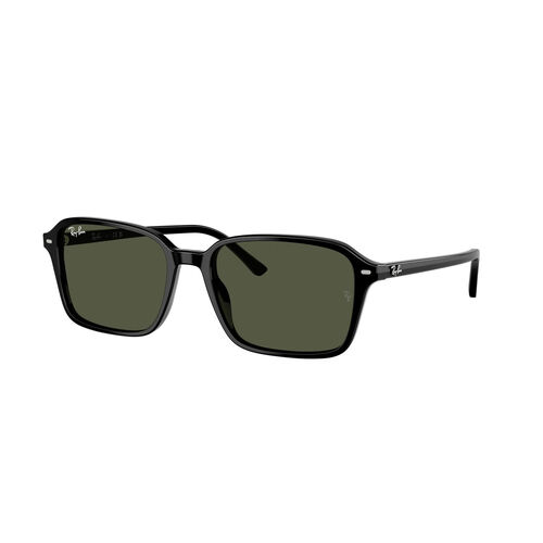 Ray-Ban 0RB2231 RAIMOND
