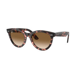 Ray-Ban 0RB2241 WAYFARER WAY