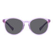 Polaroid PLD 8059/S Grey Panthos Sunglasses
