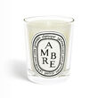 Diptyque Candle Ambre 190g