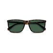 Polaroid PLD 4180/S Havana Rectangular Sunglasses