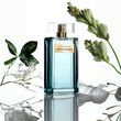 Narciso Rodriguez Wild Tuberose Eau de Parfum Intense 100ml