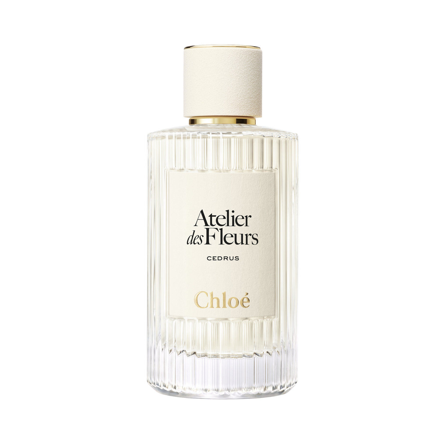 Atelier des Fleurs Cedrus Eau de Parfum 150ml | Airport Duty Free
