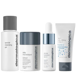 Dermalogica Passport To Healthy Skin Kit