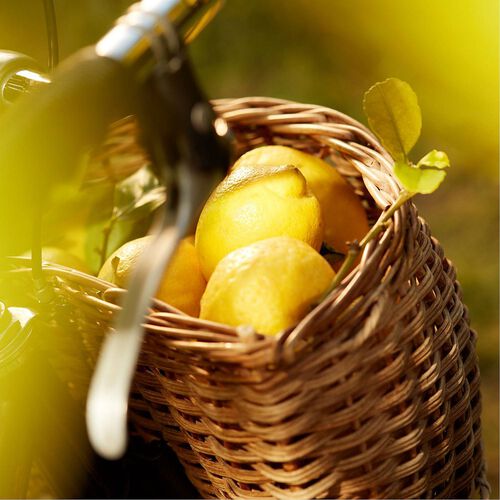 Maison Martin Margiela REPLICA Under The Lemon Trees Eau de Toilette 100ml