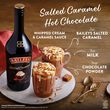 Baileys Salted Caramel Liqueur  1L