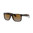 Ray-Ban 0RB4165 JUSTIN