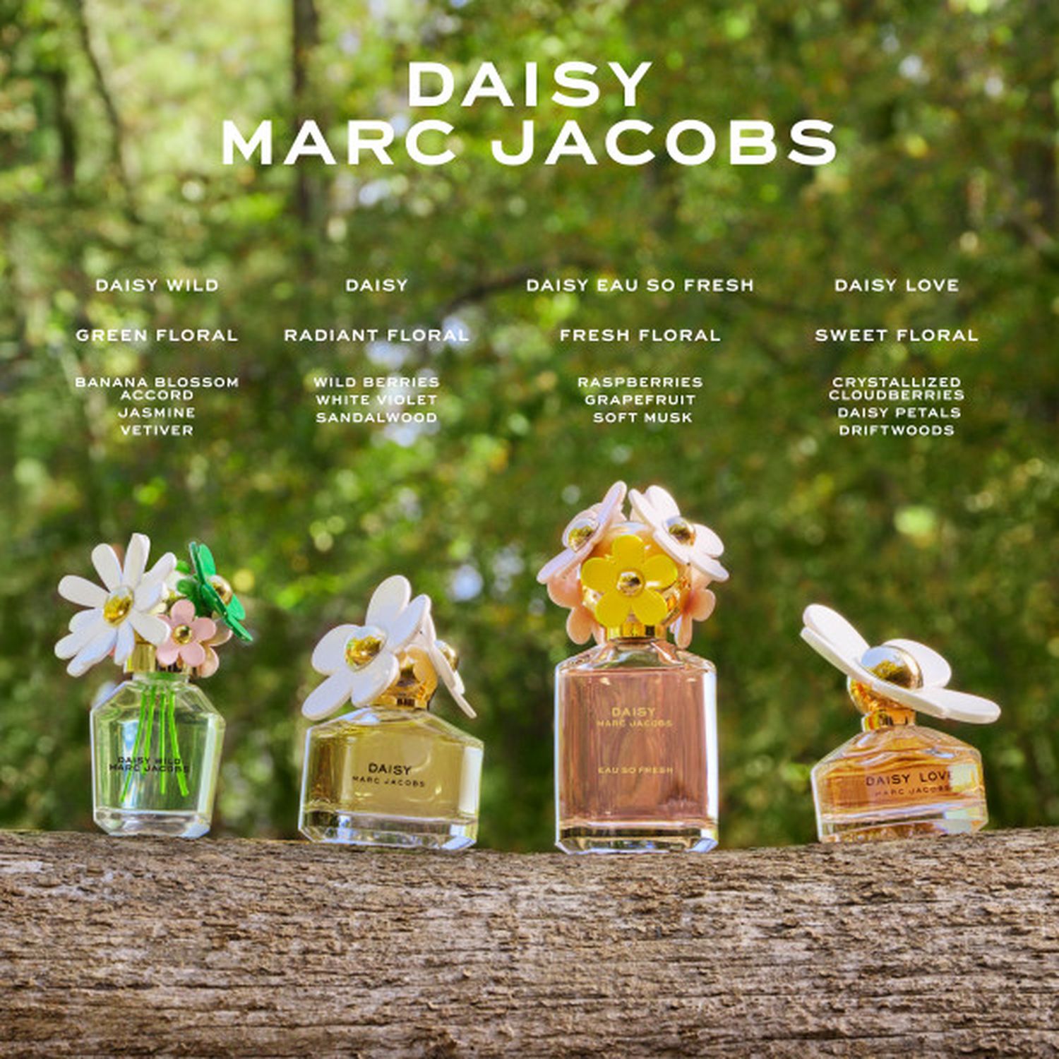 Daisy eau de parfum 50ml outlet