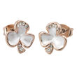 Trinity Rose/Whitematt Clear CZ Shamrock Earrings