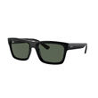 Ray-Ban 0RB4396 WARREN