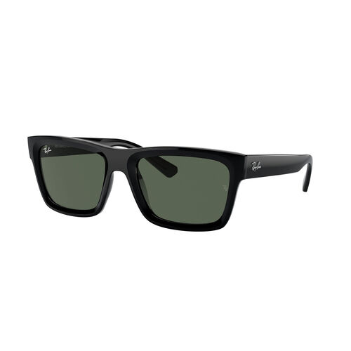 Ray-Ban 0RB4396 WARREN