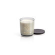 Max Benjamin Lemongrass And Ginger Candle & Diffuser Gift Set