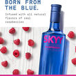 Skyy Skyy Infusions Raspberry Vodka 1L