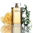 Narciso Rodriguez Rose Epicee Eau de Parfum Intense 100ml