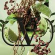 Valentino Born In Roma Uomo Green Stravaganza Eau de Toilette 100ml