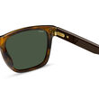 Boss BOSS 1759/G/S Brown Horn Rectangular Sunglasses
