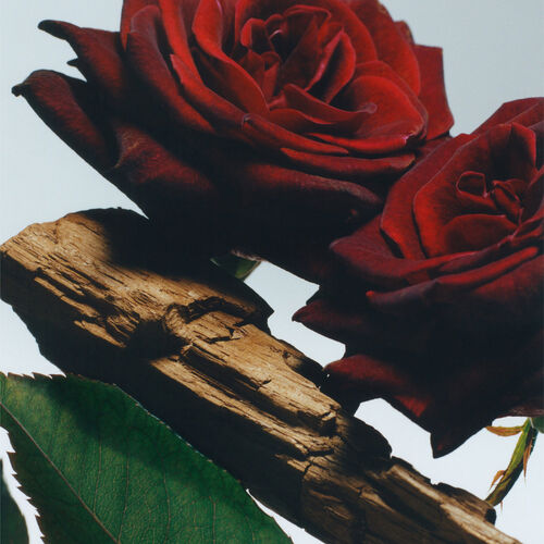 Jo Malone London Velvet Rose & Oud All Over Body Spray  125ml