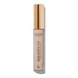Sculpted by Aimee Brighten Up Concealer Ivory  